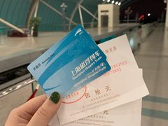 -龙阳路磁悬浮列车总站-停车场