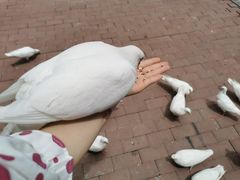 -王府井奥莱临潼小镇(临潼店)