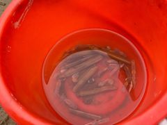 -秦皇岛新澳海底世界