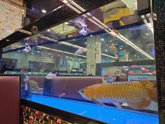 -新辉港式茶餐厅(北栅店)