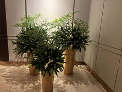 -彩丰楼·中餐厅(国家会展中心上海洲际店)