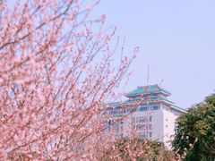 -武汉大学-樱园