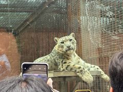 -青藏高原野生动物园