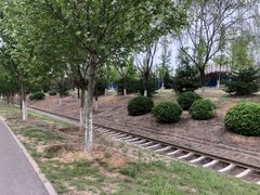 -永定河休闲森林公园