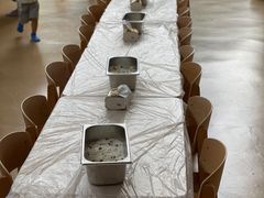 -蒙蒙狮蒙台梭利儿童之家