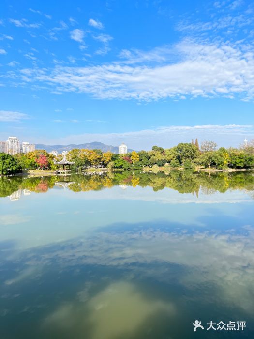 江心屿景区图片