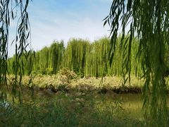 -南翠屏公园