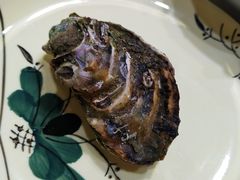 生蚝-边江铁锅炖鱼(振八街店)