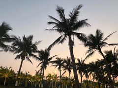 -西秀海滩公园