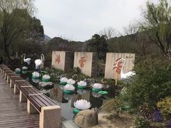 -香雪海