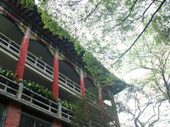 -中山大学学者灵芝(园南路店)