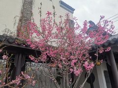 -金谷里艺术馆