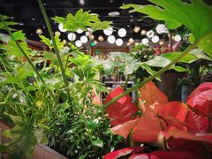 景观位-半秋山西餐厅(巴南万达广场店)