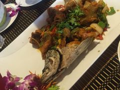 -Daddy Nimman Chiang Mai