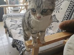 -平行世界·猫咖(首经贸店)