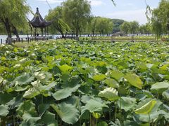 -石湖景区