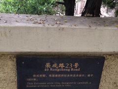 -八大关景区
