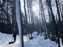 -洛阳白云山景区