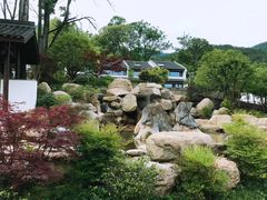 -千岛湖石林
