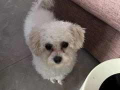 -瑞鹏宠物医院·超声·骨科·奇麟分院(蜀都万达店)