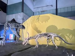 -湖南省地质博物馆