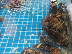 -和源祥·日照菜扛把子(万平口一店)