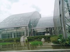 -南山植物园