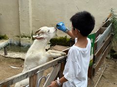 -HERRE·FARM 赫尔露营农场·团建聚会包场