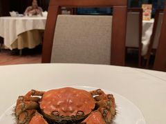 -沪江饭店(利舞台店)