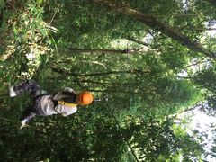 丛林飞跃-清迈丛林飞跃 JungleFlight