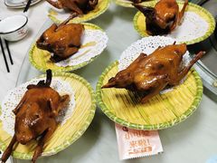 -麻奢鸽农庄·梦里水乡