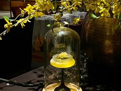 -成都尼依格罗酒店