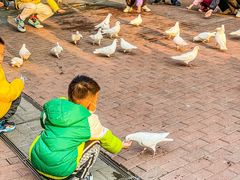 -王府井奥莱临潼小镇(临潼店)