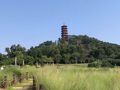 -红花山公园
