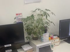 -天真蓝照相馆(宁波来福士店)
