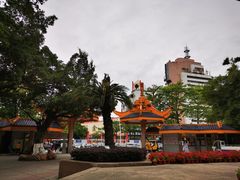 -金砂公园