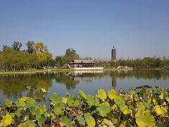 -西海子公园
