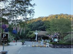 -广州白江湖森林公园