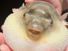 -永安鱼庄·镇江菜(东吴路店)