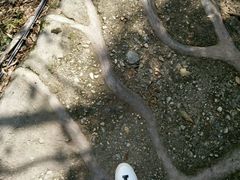 -郧西五龙河风景区