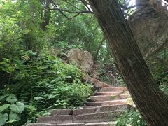 -洛阳白云山景区