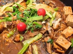 -老板恋上鱼(恒隆广场店)