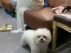 -伽利略剧本探案馆(国贸店)