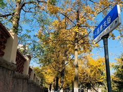 -八大关景区