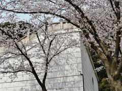 -苏州上方山国家森林公园