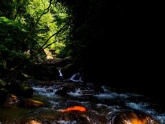 -西岭雪山大飞水景区