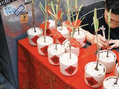 -越秀西湖花市(广州城市广场花卉店)