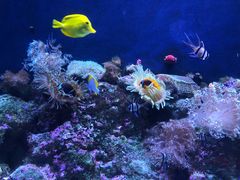 -成都浩海立方海洋公园