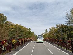 -东平国家森林公园