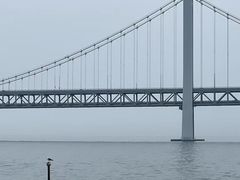 -大连海之韵公园